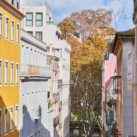 Alegria By Realmobility