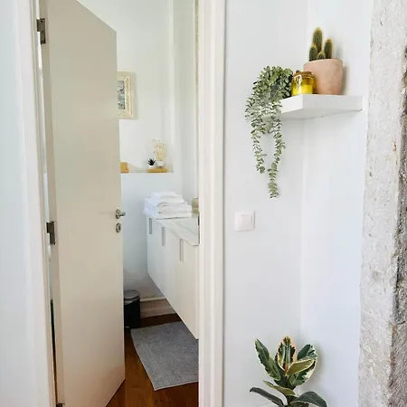 Alegria By Realmobility