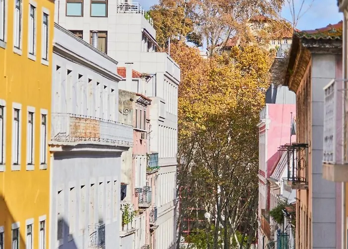 Alegria By Realmobility