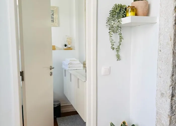 Alegria By Realmobility